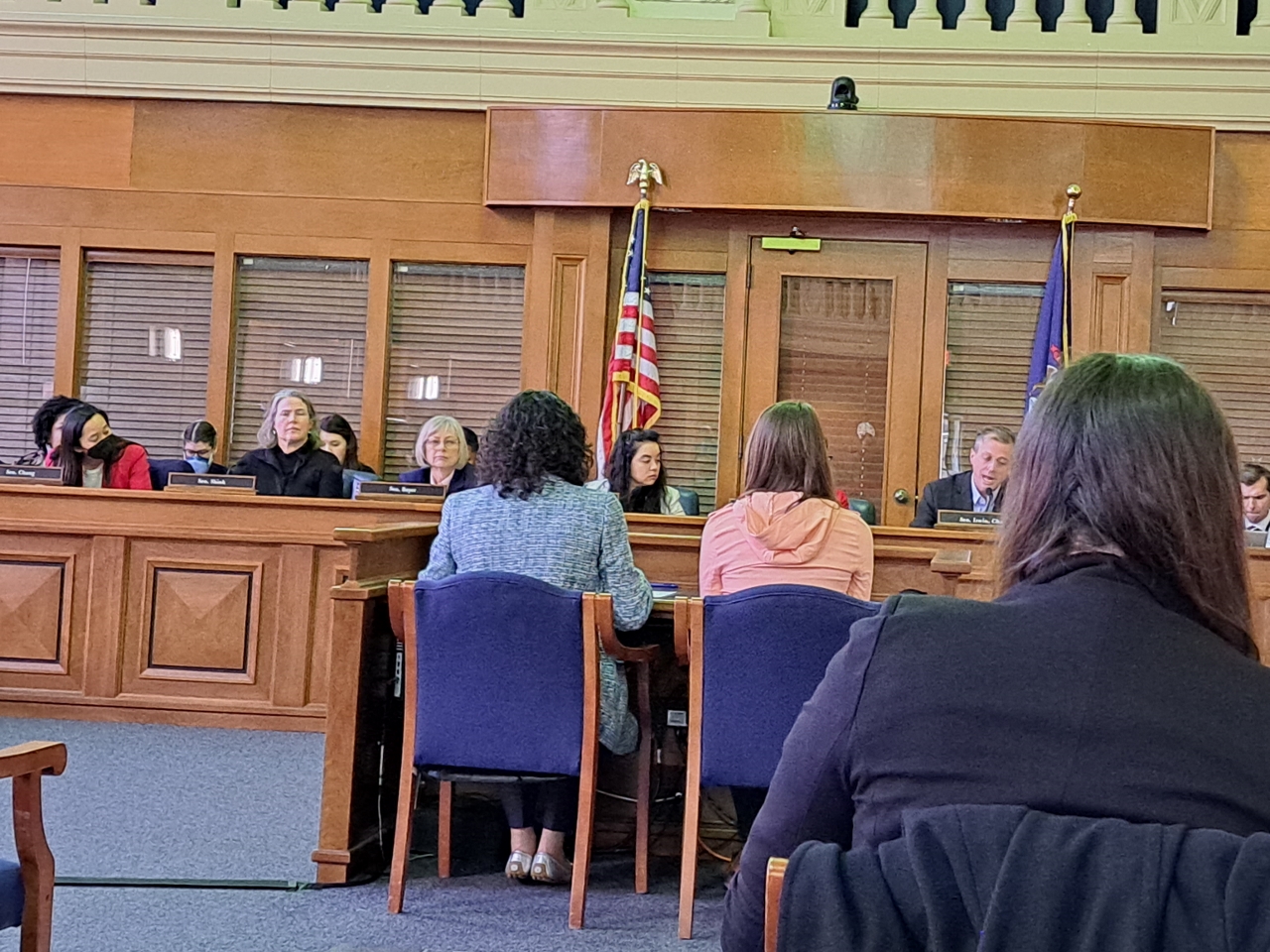 Bethany Broom-Dombrowski (right) testifies before a Michigan Senate committee.