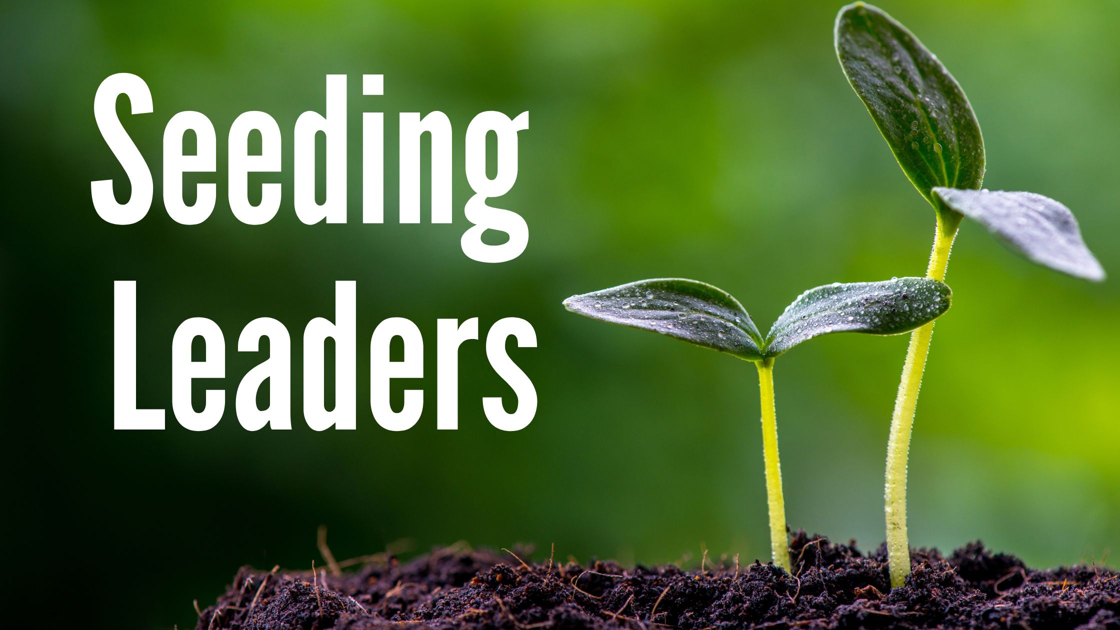 Seeding Leaders