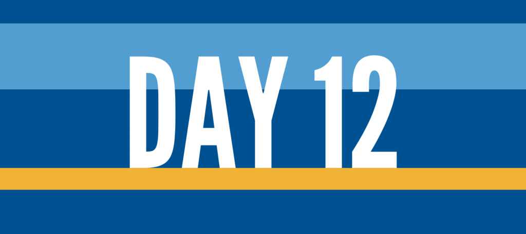 Blue background with white text that reads "Day 12"