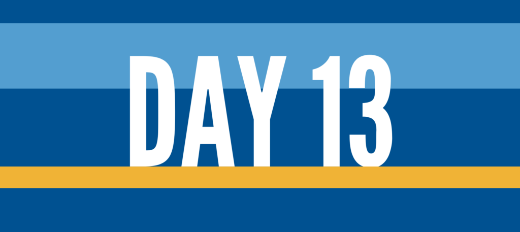 Blue background with white text that reads "Day 13"