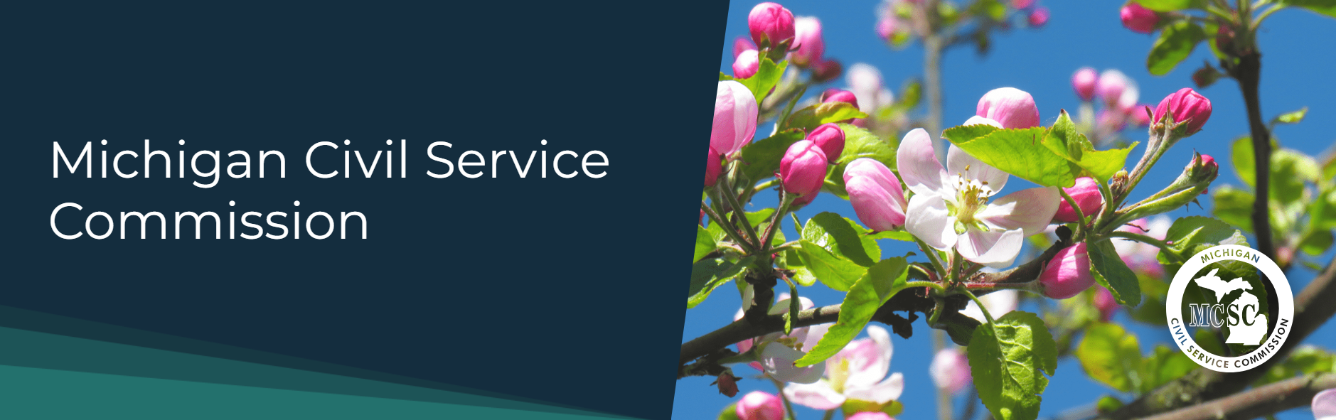 Screenshot 2025-09-17 143404